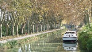 Canal du midi & Carcassonne