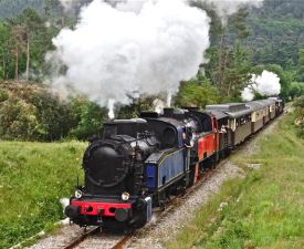 Train à vapeur des Cevennes et bambouraie d'Anduze