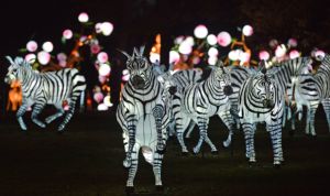 Fête des Lanternes