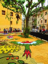 Fête des Enramadas à Arbucies