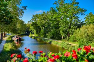 Canal du midi & Carcassonne
